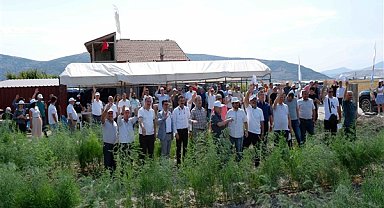 Sparga1 Tarım, 400 dönümlük alanda kuşkonmaz dikim faaliyetine başladı