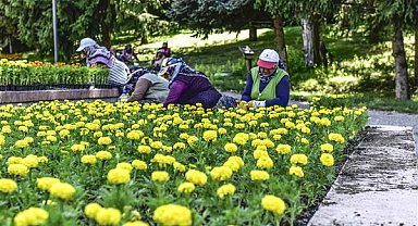 ABB'nin peyzaj ve çevre düzenlemeleri sürüyor