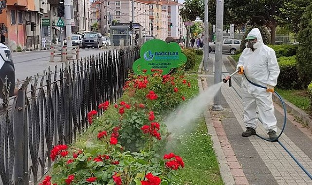 Bağcılar Belediyesi bitlerle mücadelesini sürdürüyor