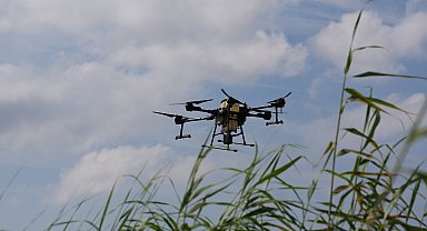 Bursa Büyükşehir Belediyesi drone ile sinek avına çıktı