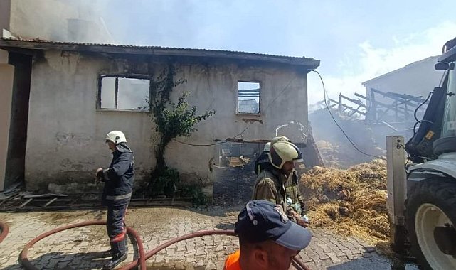 Bursa Orhaneli'de korkutan yangın!