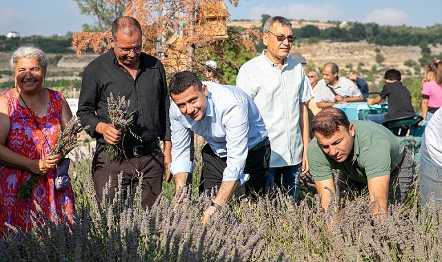 Çaltıbozkır'da Lavanta Hasat Şenliği coşkusu