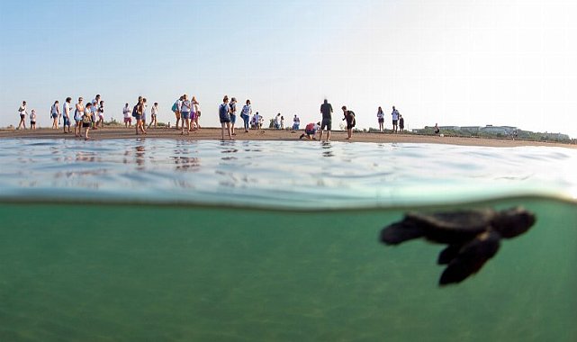 'Caretta Caretta'lar Akdeniz'le buluşturuluyor