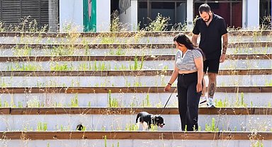 İzmirli gençler Hatay’dan gelen depremzede köpeği sahiplendi