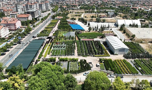 Konya Ağaç AŞ'ye Başkan Altay'dan ziyaret