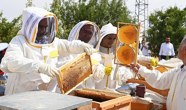 Konya Selçuklu'da ilk hasat yapıldı... 1 ton bal bekleniyor