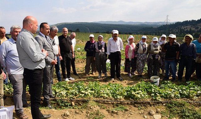 Tarım işçisinin koruyucu ekipmanları Manisa'dan