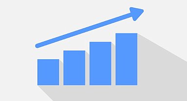 Türkiye Kalkınma ve Yatırım Bankası, kar dağıtmayacak