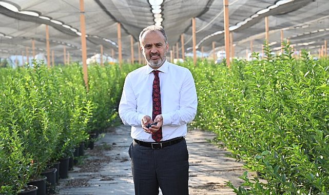 Bursa'nın yükselen değeri; tarım
