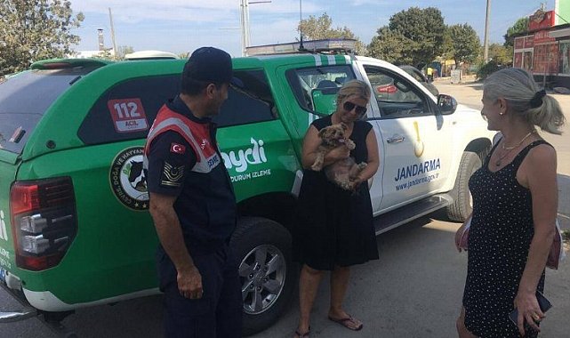 Erikli'de jandarmadan evcil hayvanlara yönelik faaliyet