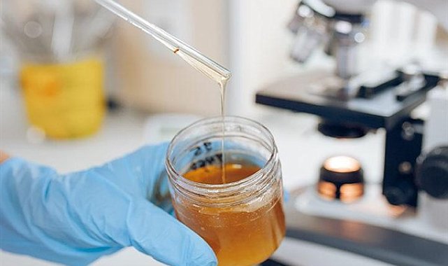 Gıda Analiz Laboratuvarı’nda çalışmalar sürüyor