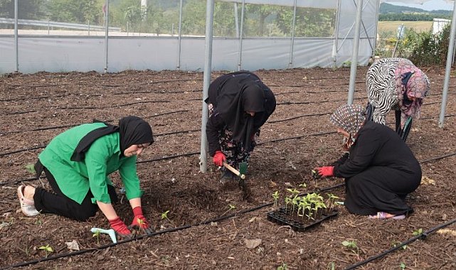 Kadın kooperatiflerine güçlü destek