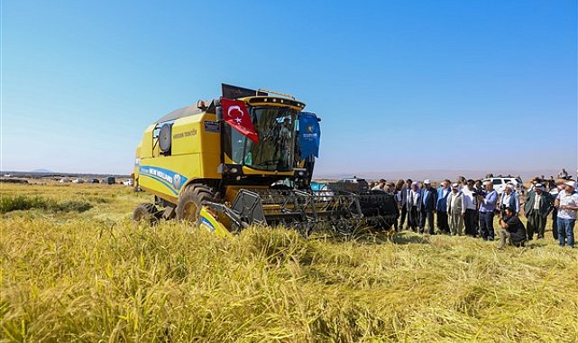 Karacadağ çeltiği hasadı yapıldı