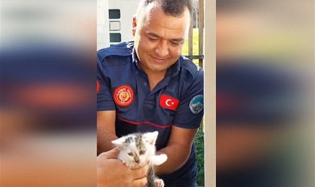 Kayseri’de klimanın içine sıkışan yavru kedi kurtarıldı