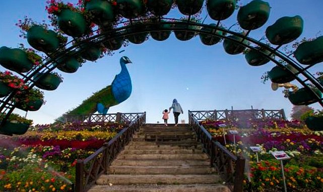 Konya Selçuklu Çiçek Bahçesi'nde en iyi kareler belli oldu