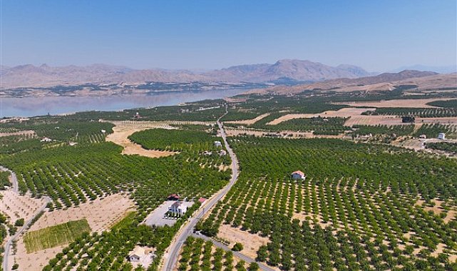 Malatya'da yol genişletme ve asfalt serim çalışmaları devam ediyor