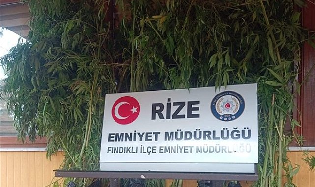 Rize’de uyuşturucu operasyonu