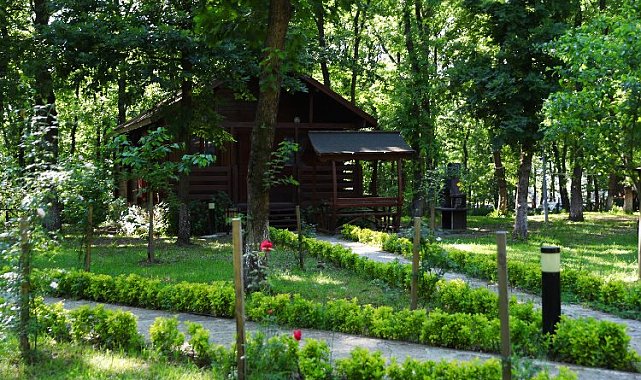 Sakarya'nın oksijen deposuna ziyaretçi akını