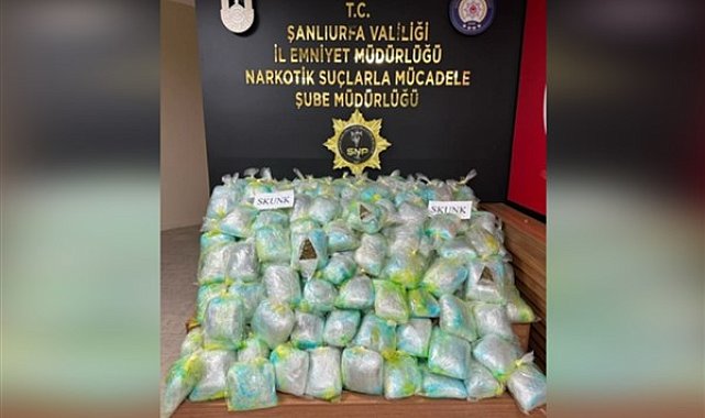 Şanlıurfa’da 167 kilo 250 gram skunk ele geçirildi
