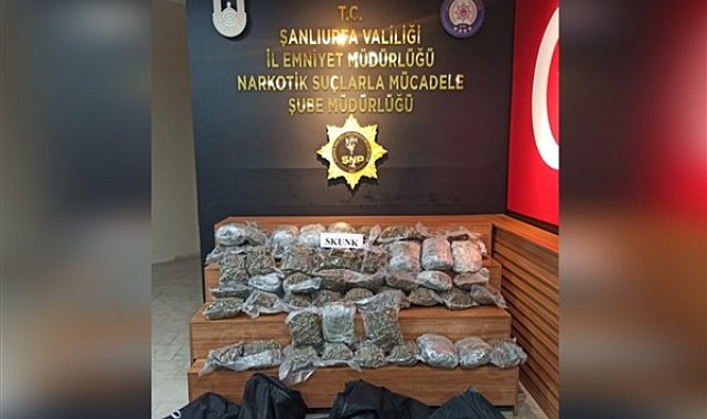 Şanlıurfa'da 34 kilo 500 gram skunk maddesi ele geçirildi