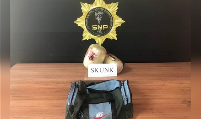Şanlıurfa'da 5 kilo 550 gram skunk ele geçirildi