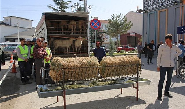 Eskişehir Büyükşehir Belediyesi’nin küçük çiftçiye yönelik desteği sürüyor