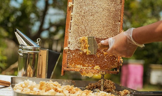 Gün aşırı 1 tatlı kaşığı bal tüketilmeli!