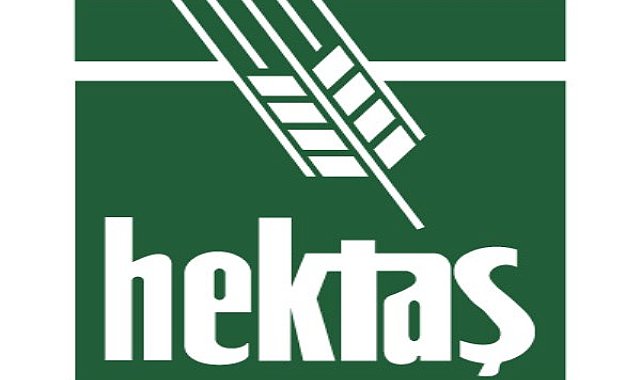 Hektas Asia LLC'nin sermaye artırımı