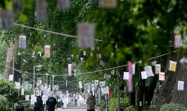 Kocaeli'de 5 bin kitap ağaçtan toplanacak