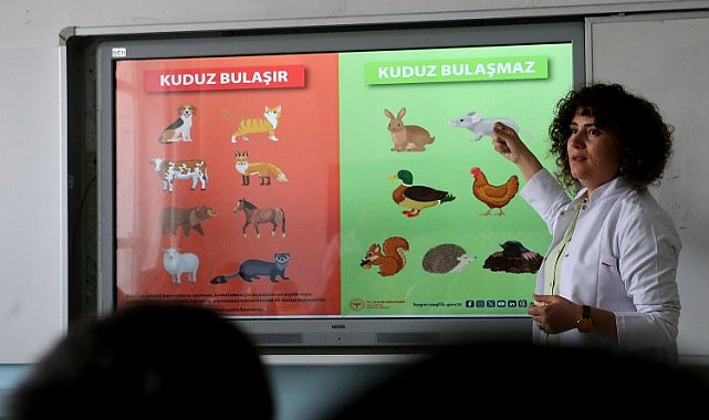 Kuduz tehlikesinden uzaklaştıracak altın kurallar