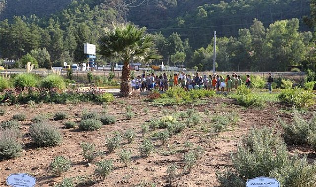 Öğrenciler Marmaris Tıbbi Bitkiler Koleksiyon Bahçesi’ni ziyaret etti