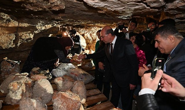 Peynir tulumundan ilk hasat