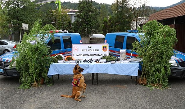Rize'de uyuşturucu operasyonunda 14 şüpheli yakalandı