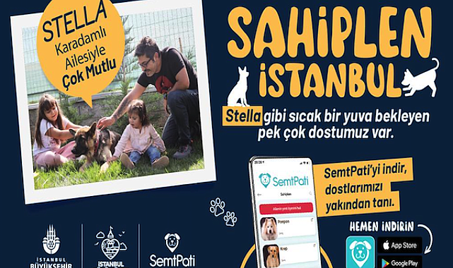 “Sahiplen İstanbul” projesi kapsamında 2023'de 218 köpek sahiplendirildi