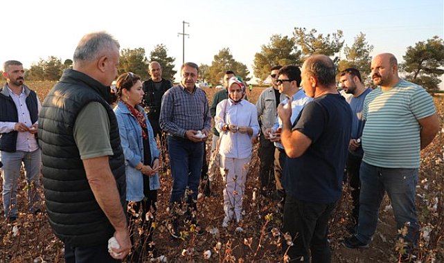 Şanlıurfa Valisi Şıldak, Ceylanpınar Tarım İşletmesinde incelemelerde bulundu