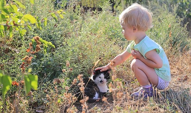 Ukrayna’dan Dünya Hayvanlar Günü mesajı