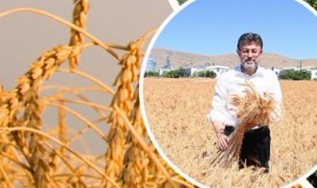 Üretici çiftçiye 11,2 milyar TL'lik destek