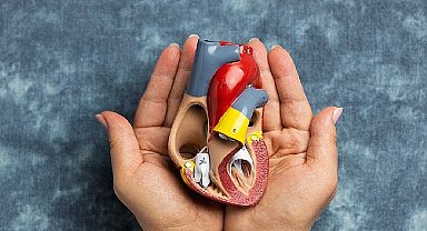 3-9 kasım organ bağışı ve nakli haftası