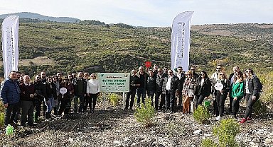 Aksigorta Hatıra Ormanı İzmit'ten Sonra  Manisa'da Yeşeriyor