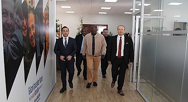 “Avcılar Modeli