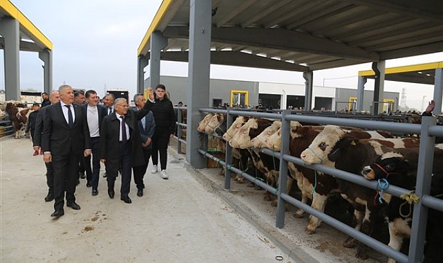 Başkan Büyükkılıç, Canlı Hayvan Pazarı’nda sıkı pazarlığa katıldı