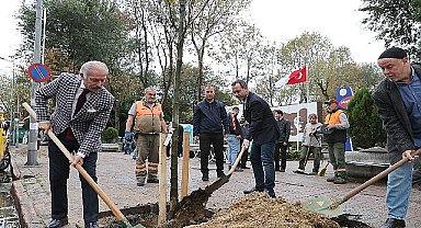 Bayrampaşa Belediyesi'nden Cumhuriyetin 100 yılına 2023 fidan