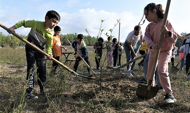 Bornova’da nar ve ayva bahçeleri yeniden canlanıyor
