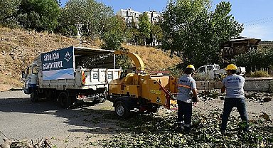 Budanan dallar gübreye dönüşüyor