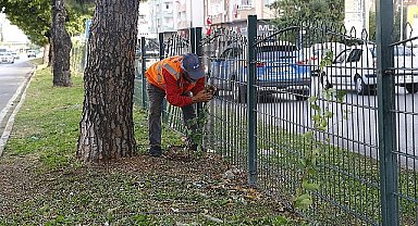 Büyükşehir'den Evliya Çelebi Caddesi'nde refüj çalışması