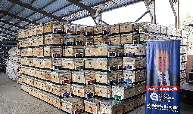 Büyükşehirden üreticilere 2500 arı kovanı desteği