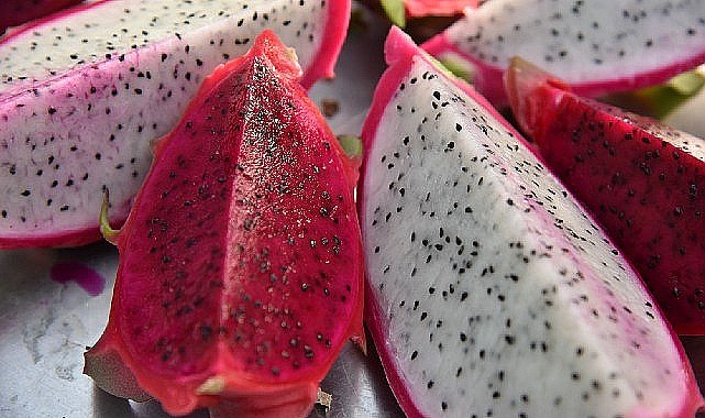 Egzotik dünyanın lezzeti : Ejder meyvesi Mustafakemalpaşa'da