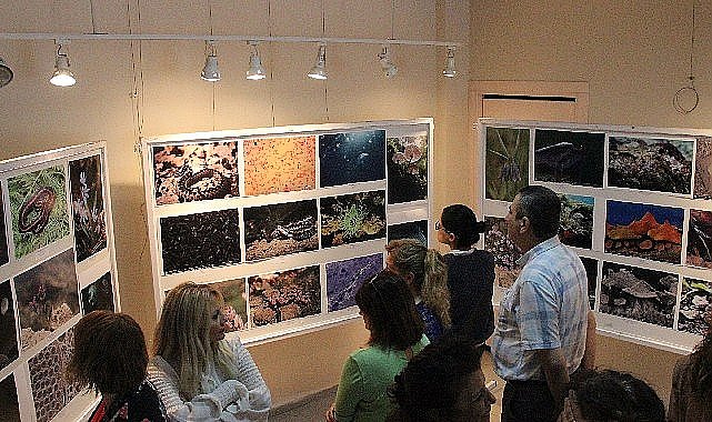 EÜ Fen Fakültesinden “Bilimin Görüntüleri: Fotoğraf Sergisi
