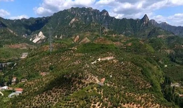 FAO'nun tarımsal miraslar listesine Çin'den üç sistem dâhil edildi