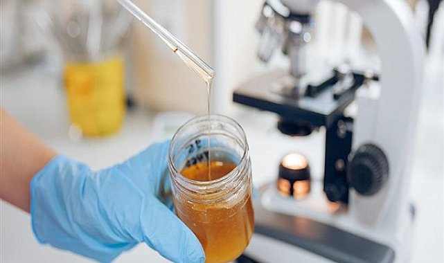 Gıda Analiz Laboratuvarı çalışmalarında sona yaklaşıldı
